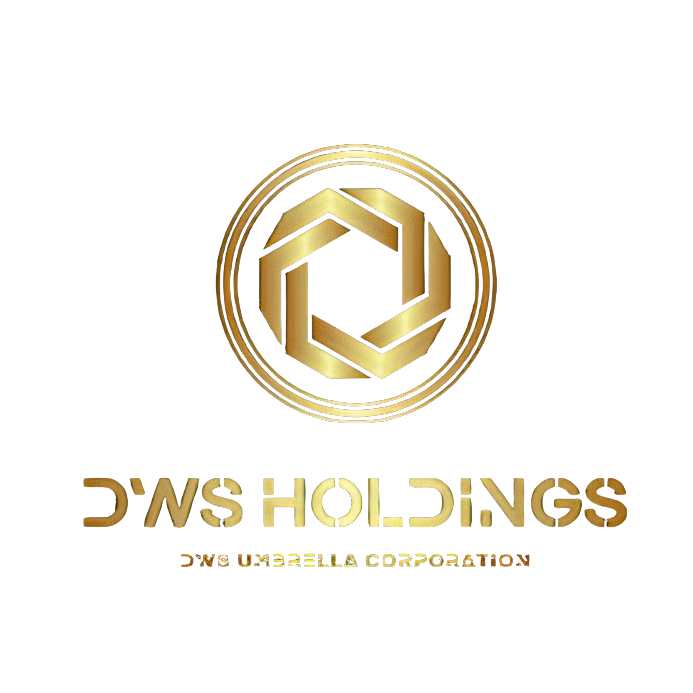 DWS Holding Corporation